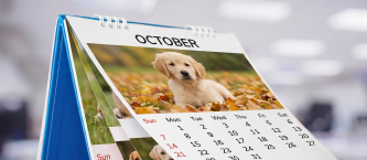 Memory Calendar