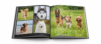 Photo Album